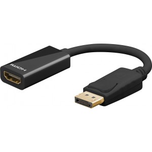 C&acirc;ble adaptateur DisplayPort/HDMI&trade; 1.2